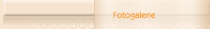 Fotogalerie